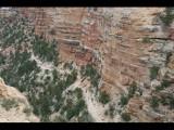 Grand Canyon 2008